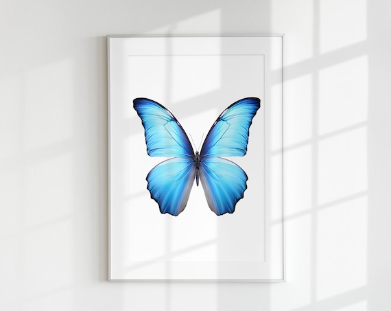 Morpho Butterfly Art Print, Botanical Guide