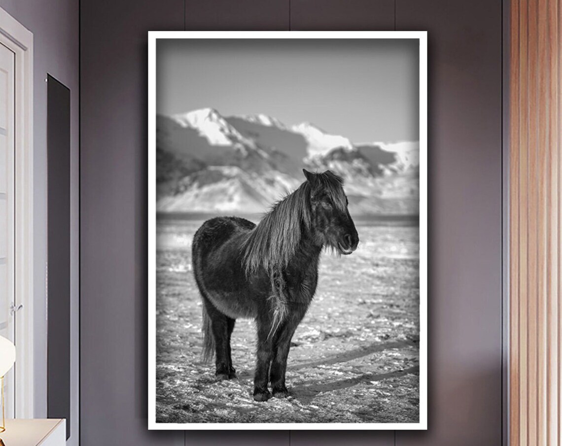 Black and White Wild Horse in Snowy Mountain Field Photo Print