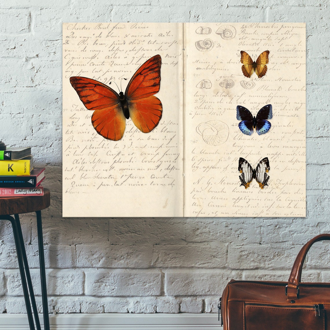 Butterfly Wall Art Altered Vintage Collage Art Shell Study Notebook Smithsonian Wall Art - Image 2