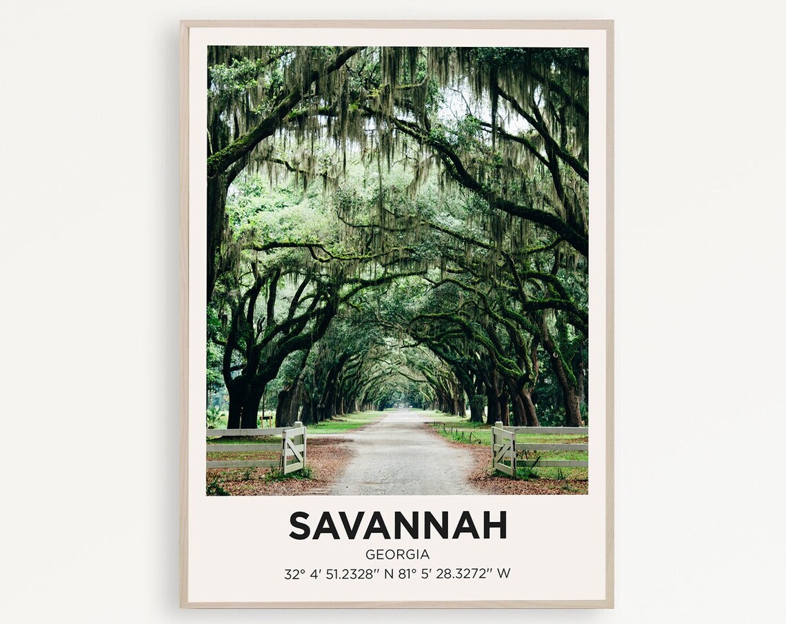 Savannah Georgia Mossy Oak Avenue Southern Photo Travel Poster