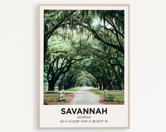 Savannah Georgia Mossy Oak Avenue Southern Photo Travel Poster