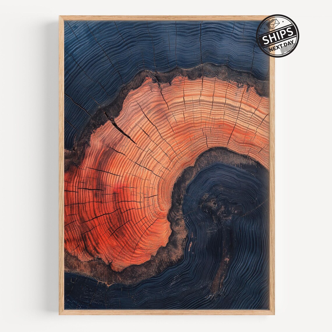 Tree Ring Wall Art Abstract Colorful Decor Minimalist Home Modern Farmhouse Living Room Print