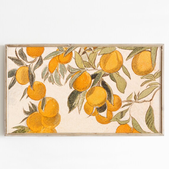 Oranges on Branches Botanical Vintage Fruit Illustration Wall Art
