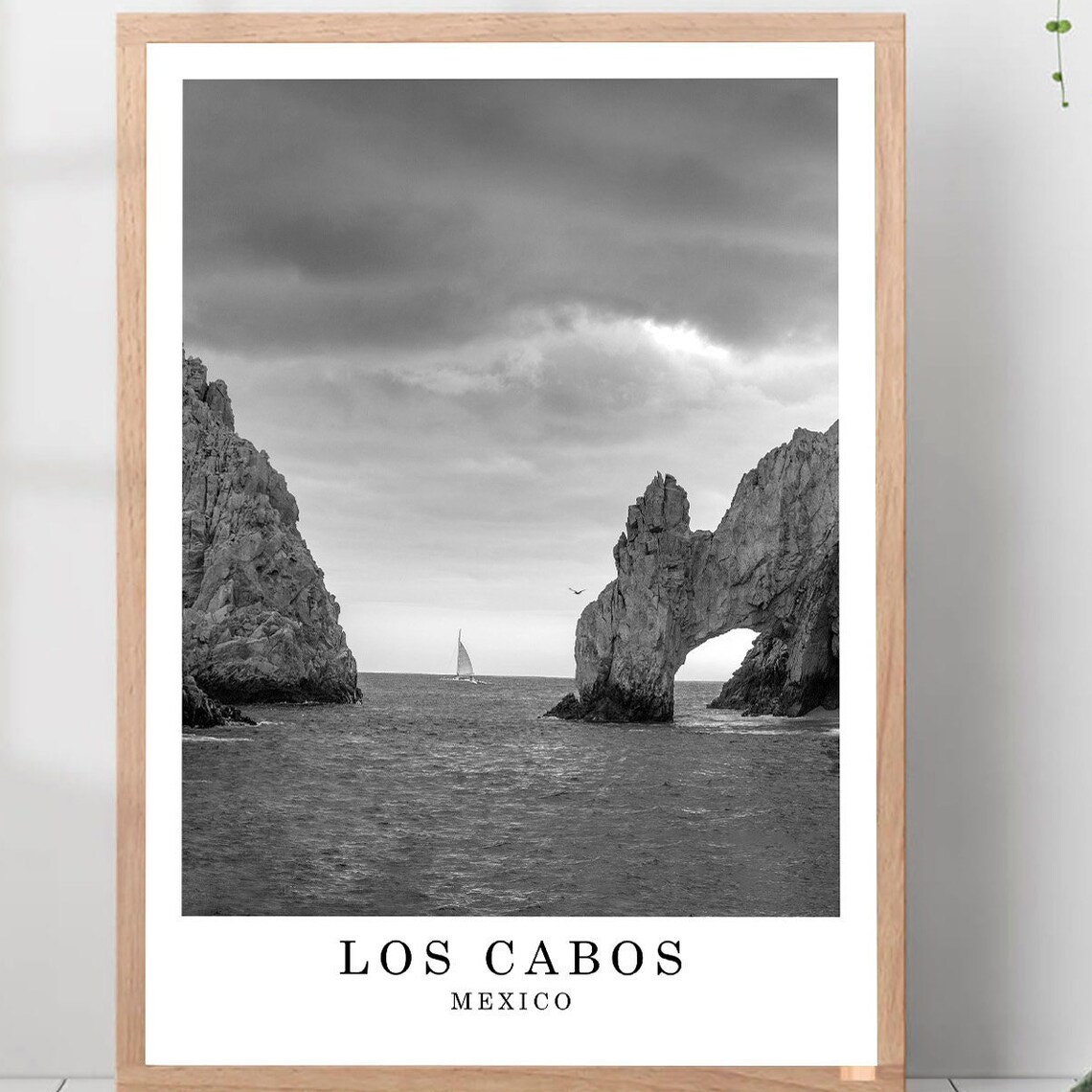 Los Cabos Mexico El Arco Rock Arch Black And White Photo Poster