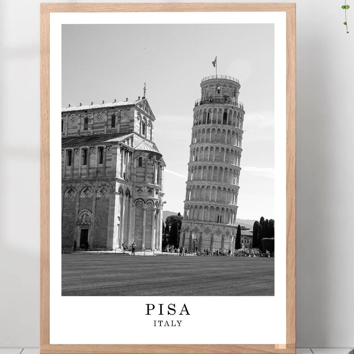 Pisa Italy Leaning Tower Cathedral Black And White Photo Poster