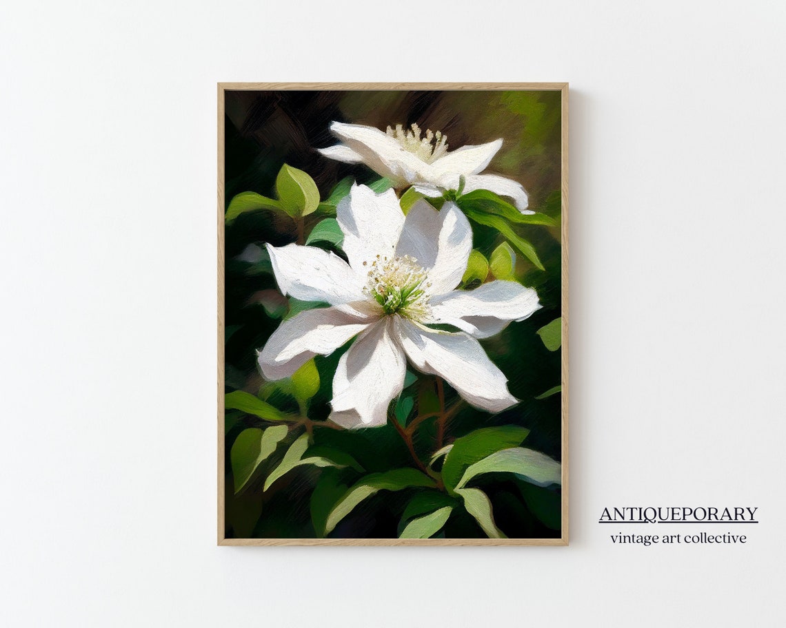 White Clematis Flowers Close Up Oil Painting Botanical Art Poster