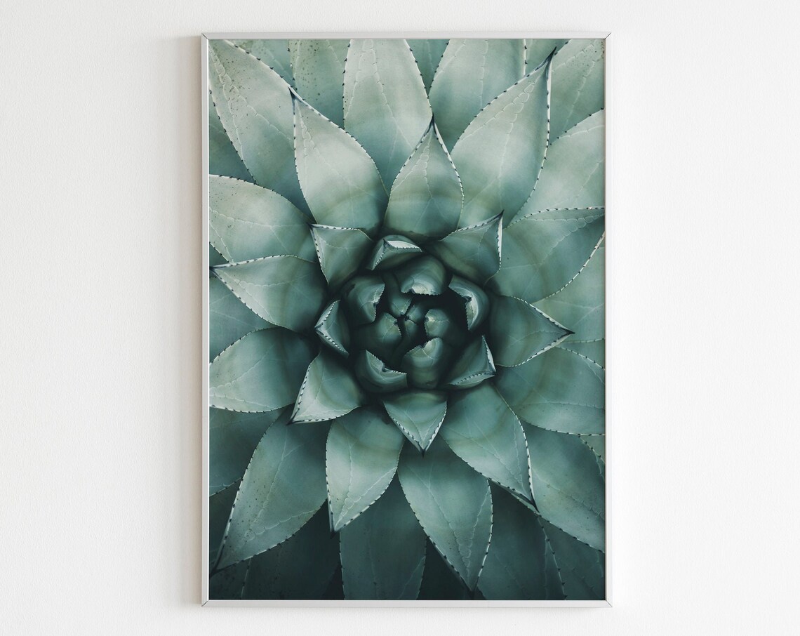 Agave Rosette Close Up Botanical Macro Photography Art Poster