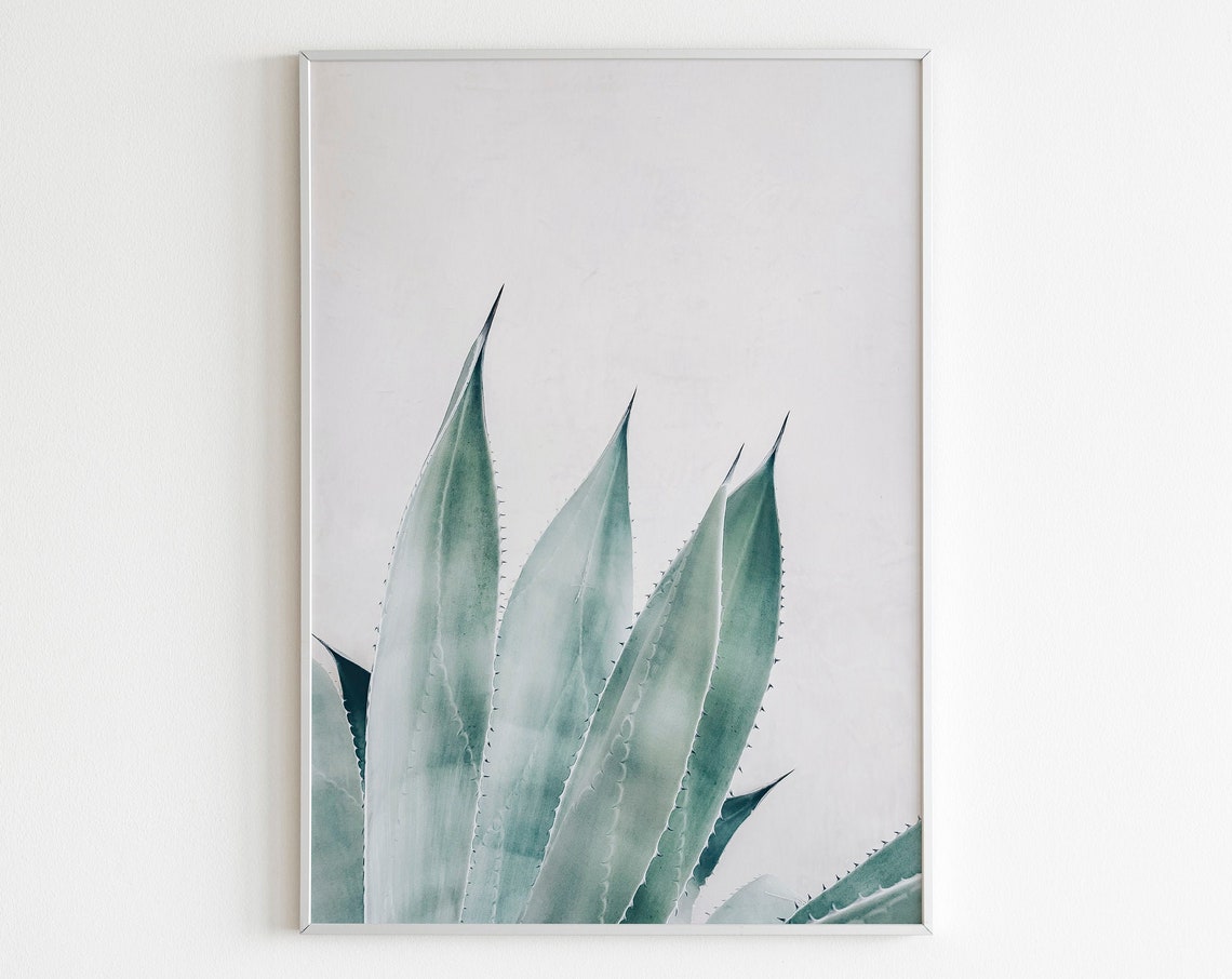 Agave Leaves Desert Succulent Minimalist Botanical Photo Poster