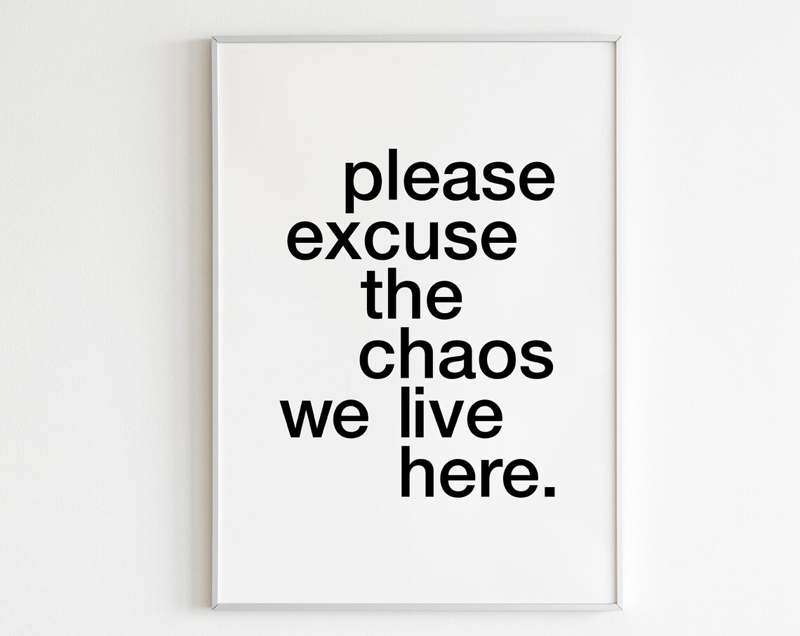 Please Excuse The Chaos We Live Here Funny Family Quote Poster