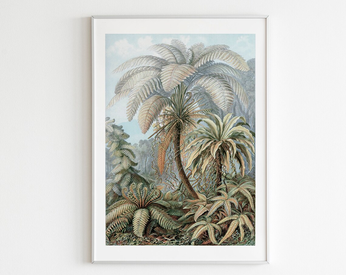 Palm Tree Illustration Vintage Reproduction Art Print