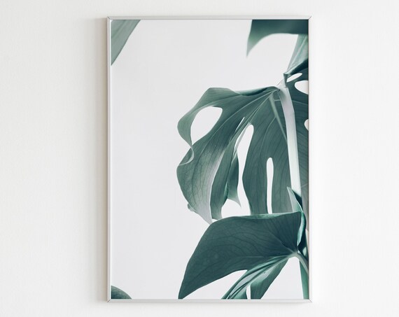Monstera Leaf Print Tropical Leaf Print Palm Leaf Print Botanical Wall Art Green Leaves Print Banana Leaves Prints Ficus Monstera Wall Art