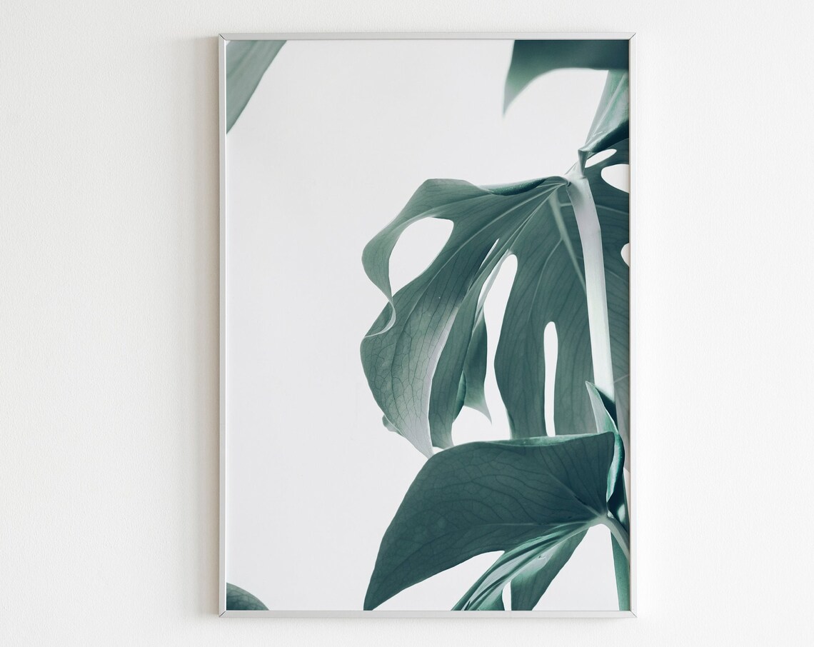 Monstera Leaf Minimalist Tropical Botanical Photo Art Poster