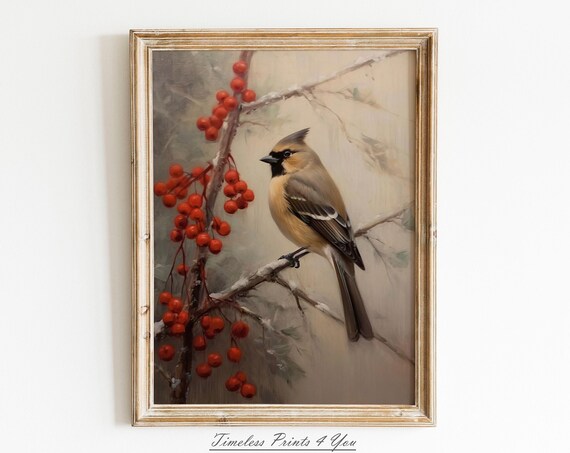 Waxwing Bird Perched on Holly Berries Winter Oil Painting Art Print