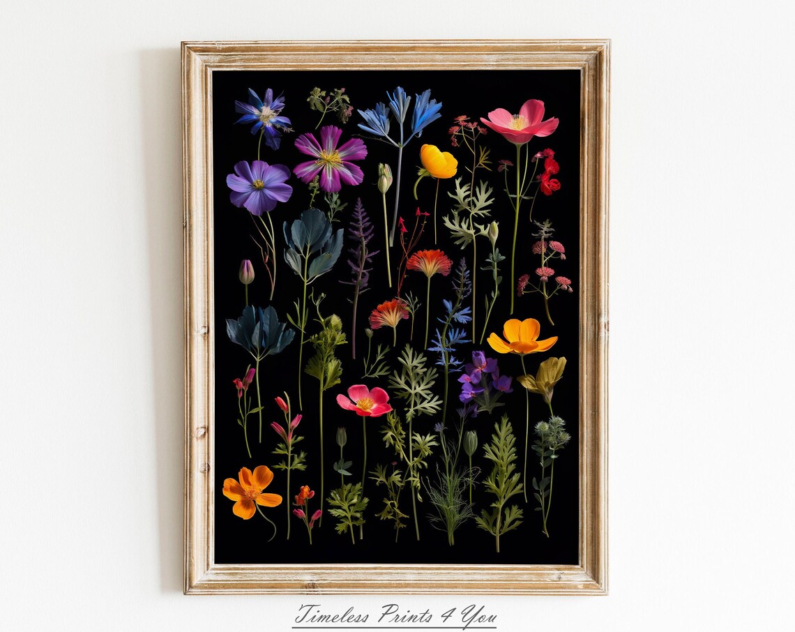 Dark Pressed Botanical Wildflowers Black Floral Herbarium Art Print