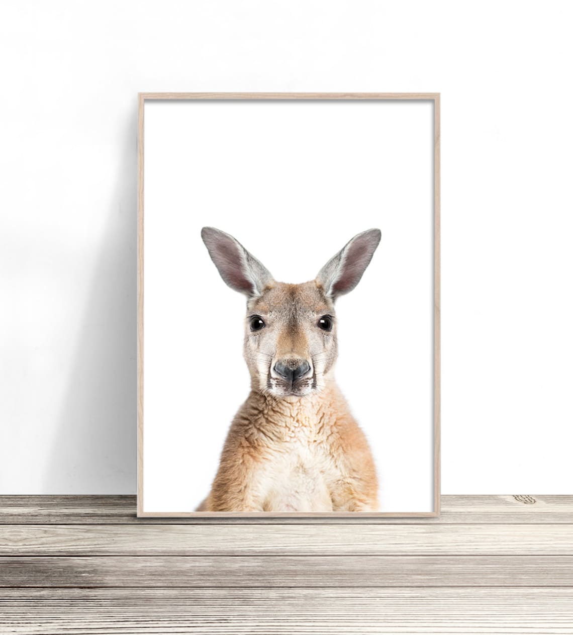 Kangaroo Photography Art Print, Native Australian Animal
