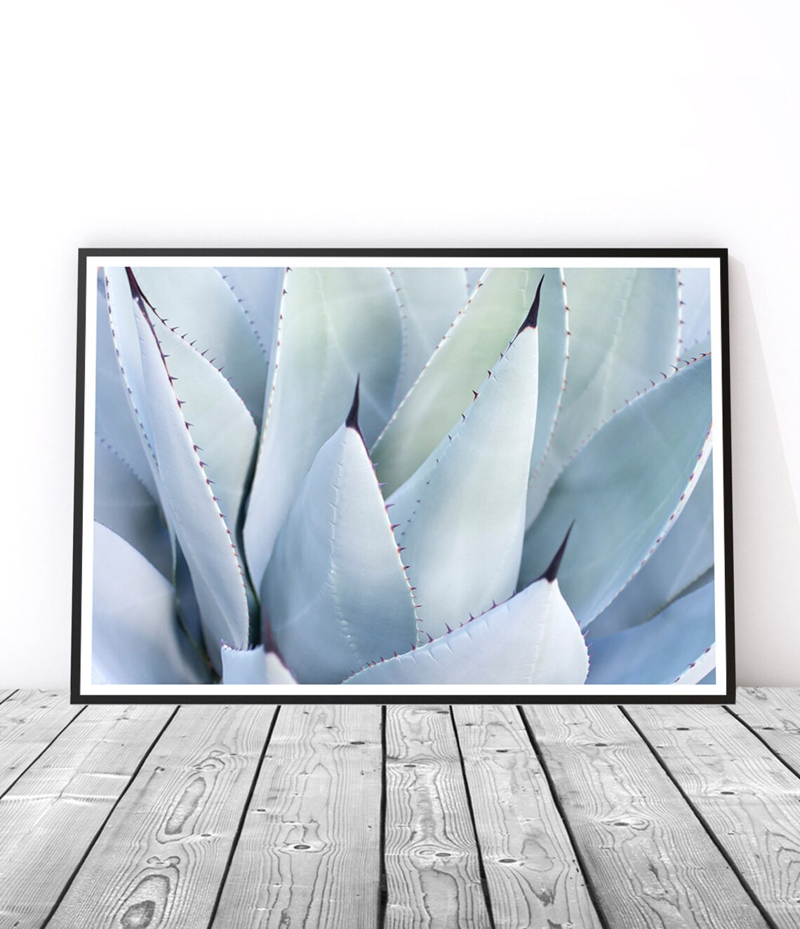 Pale Blue Agave Succulent Close Up Botanical Desert Plant Art Poster