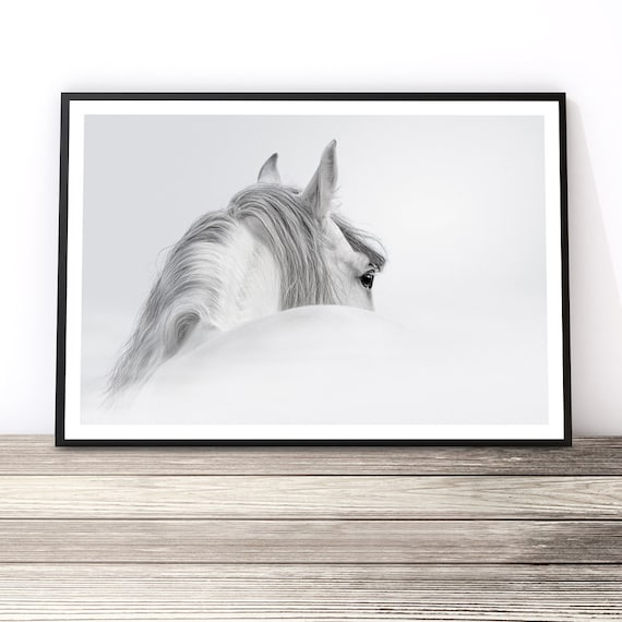 Black And White Horse Photography Wall Art Print