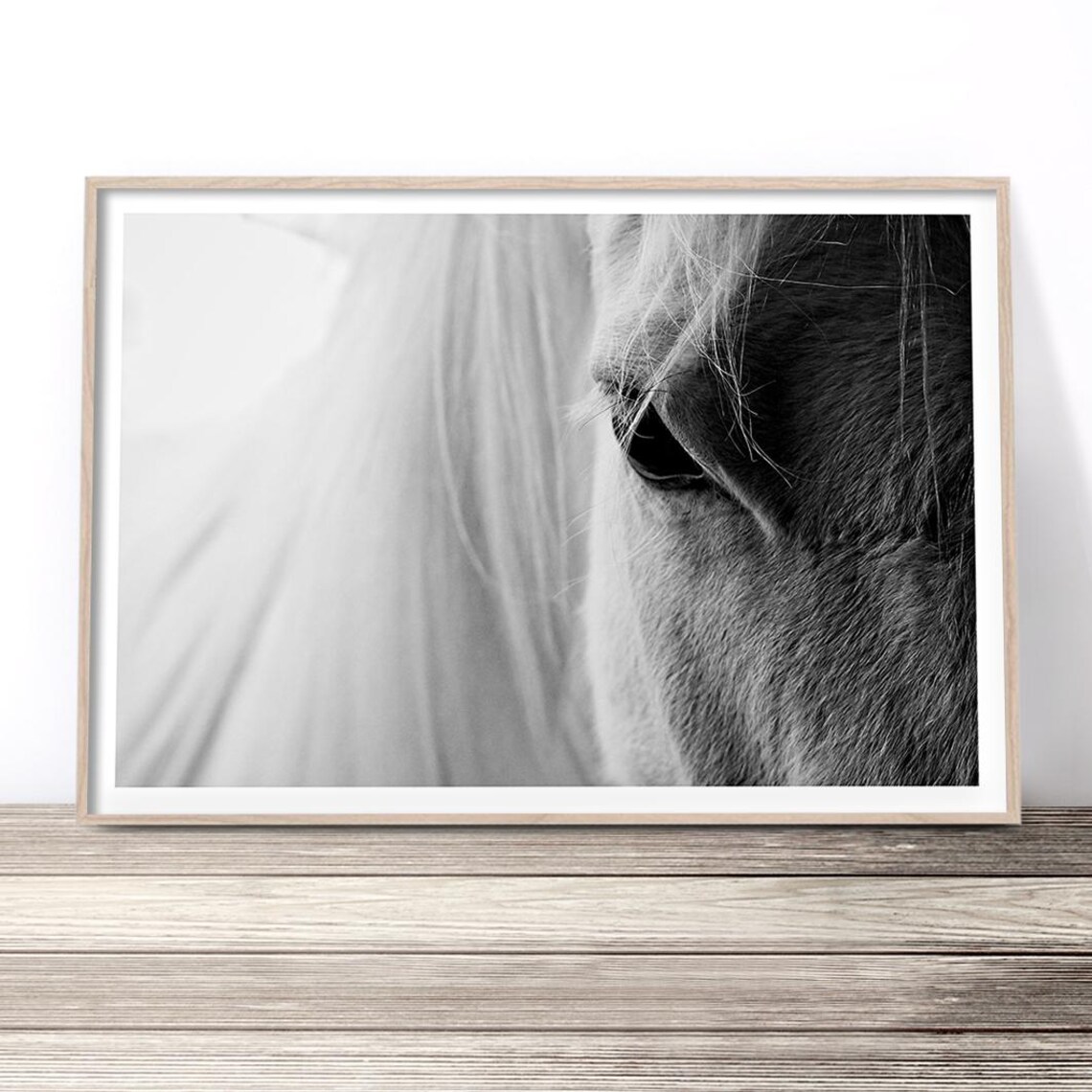 Black And White Horse Eye Close Up Dramatic Equestrian Art Poster