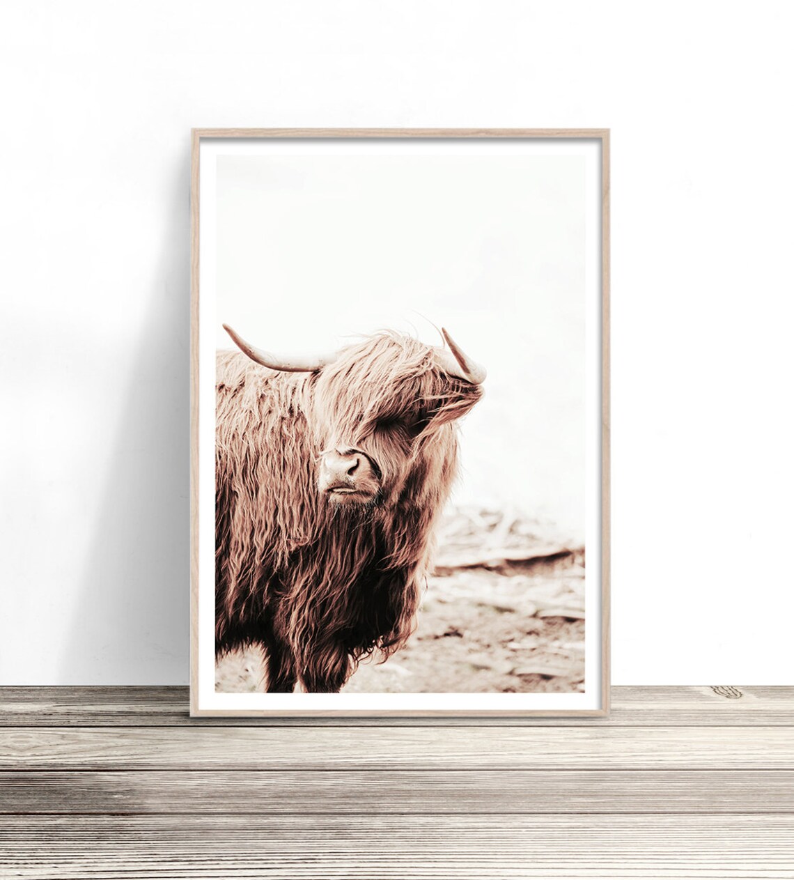 Highland Cow Shaggy Brown Scottish Cattle Farmhouse Portrait Poster