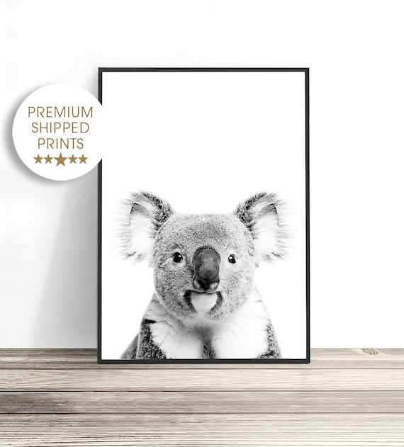 Black and White Koala Art Print, Nursery Decor