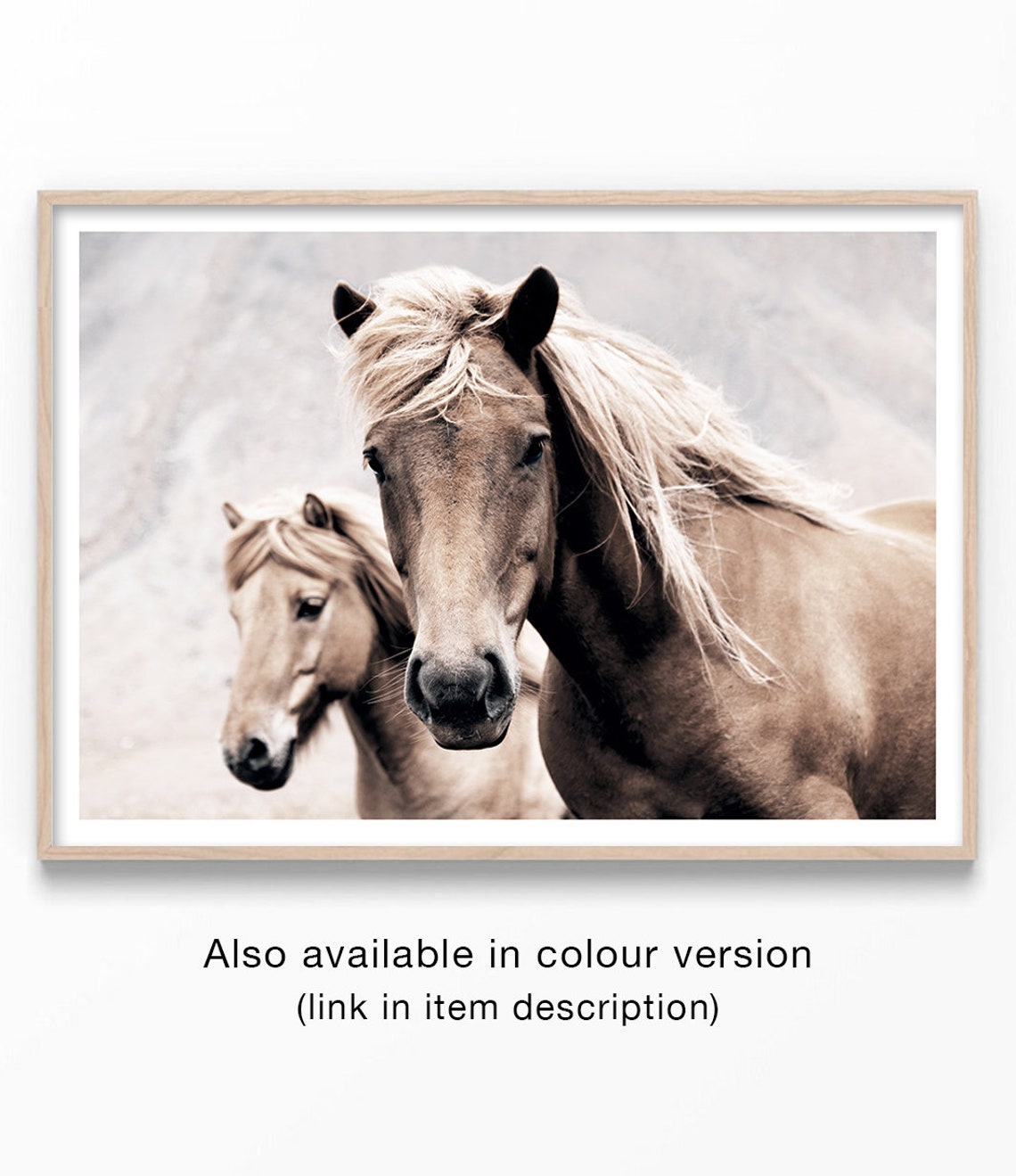 Black And White Horses Pair Portrait Wind Blown Mane Fine Art Print - Image 2