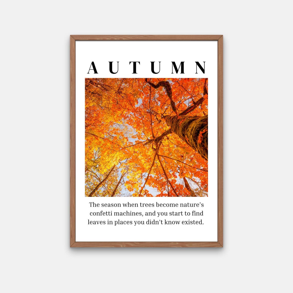 Autumn Definition Orange Leaf Canopy Overhead Fall Quote Poster