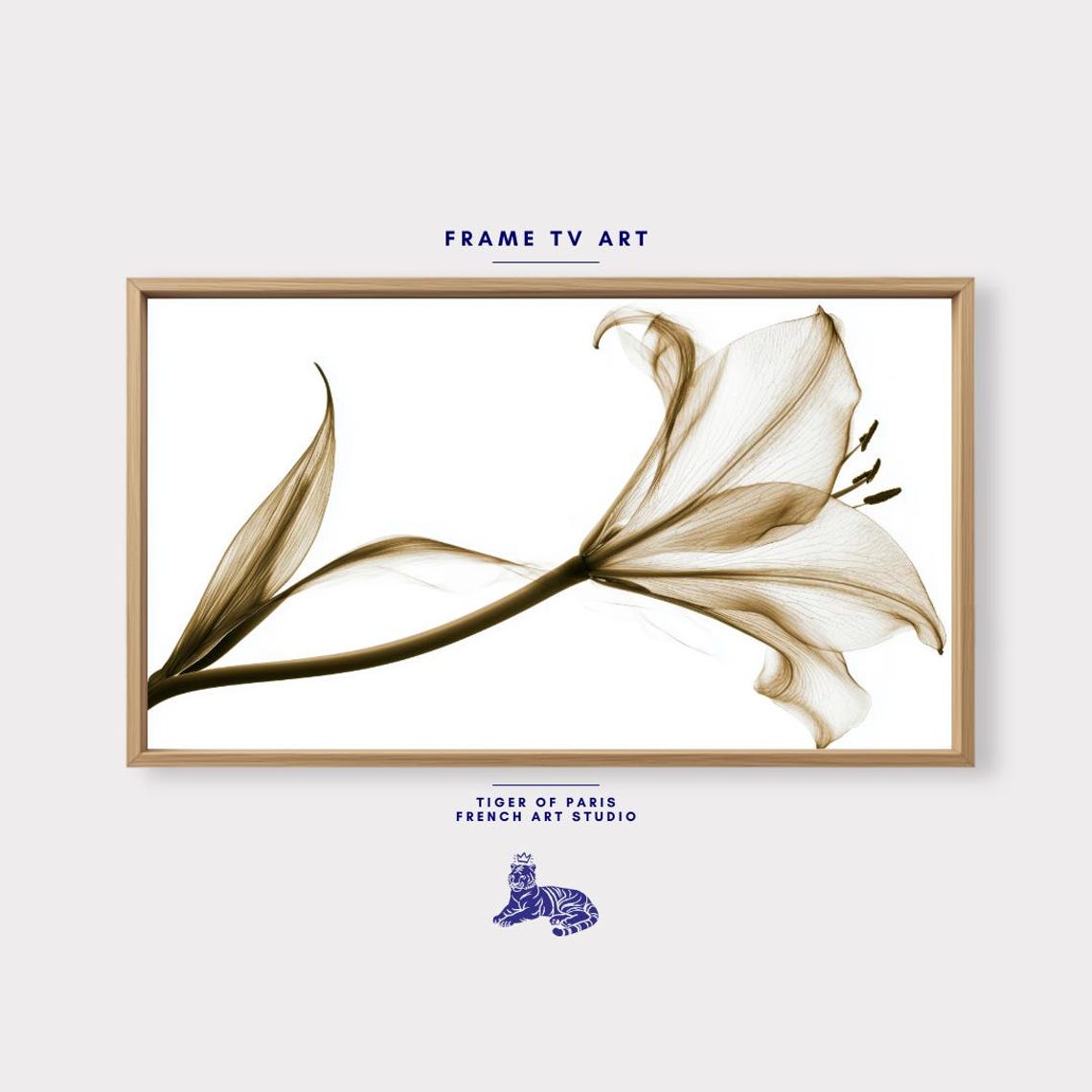 Translucent Lily Xray Botanical Art Minimalist Sepia Flower Wall Print