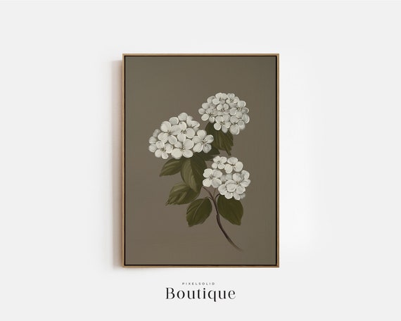Hydrangea Botanical Art Print, Classic Floral Study