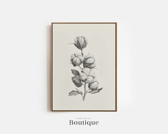 Cotton Branch Sketch Neutral Illustration Print Rustic Farmhouse Wall Decor Drawing Minimalist No397