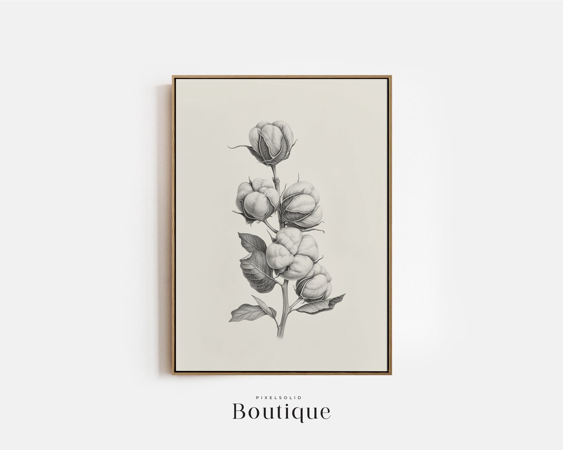 Cotton Branch Sketch Neutral Illustration Print Rustic Farmhouse Wall Decor Drawing Minimalist No397