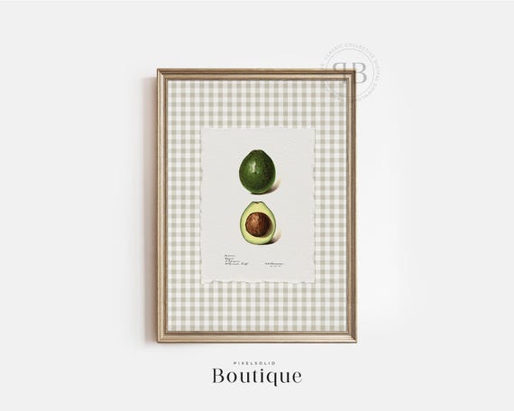 Avocado Botanical Fruit Print Antique Kitchen Wall Art Green Farmhouse Decor Heirloom Vintage Style No792
