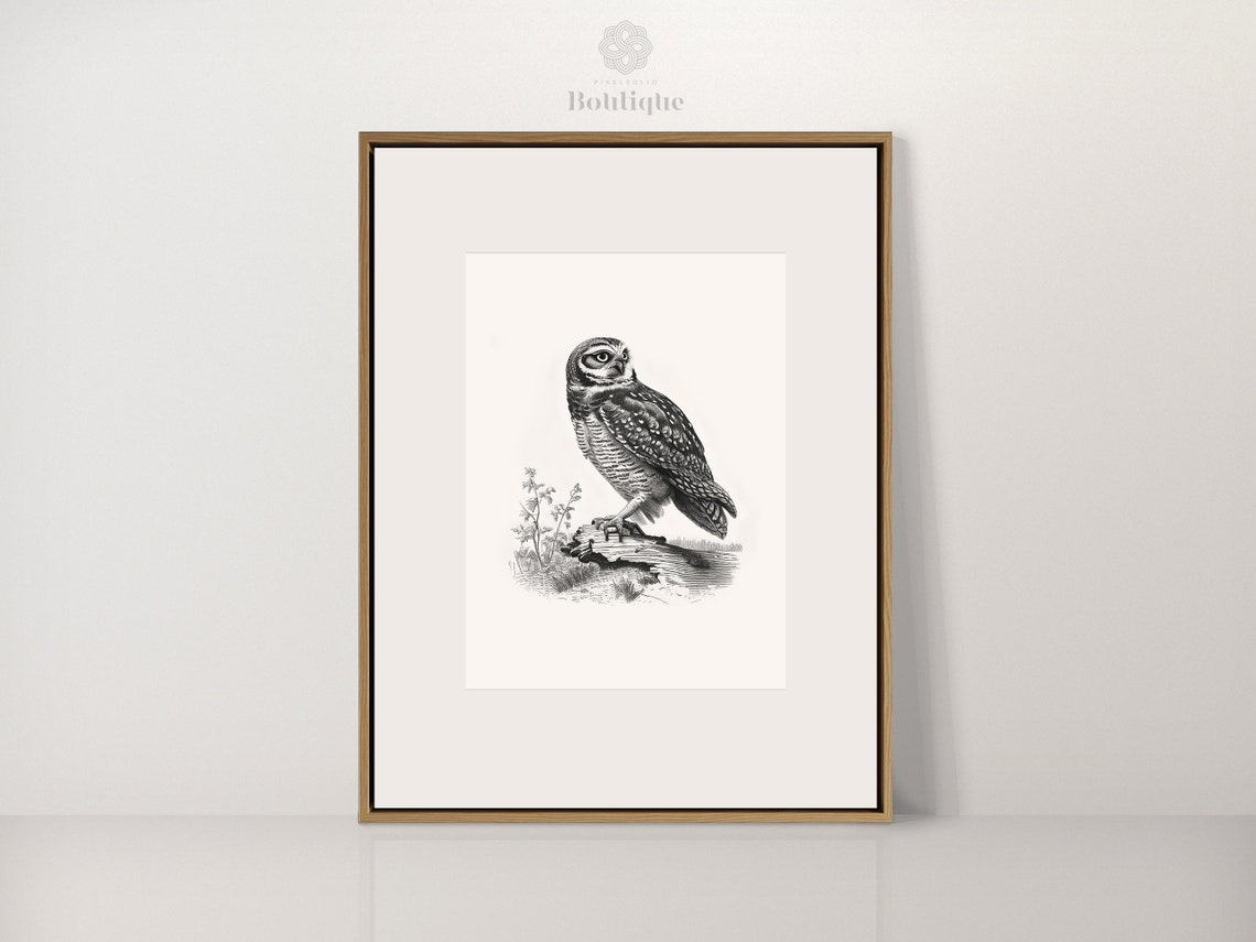 Old Fashioned Burrowing Owl Antique Etching Black White Art Poster