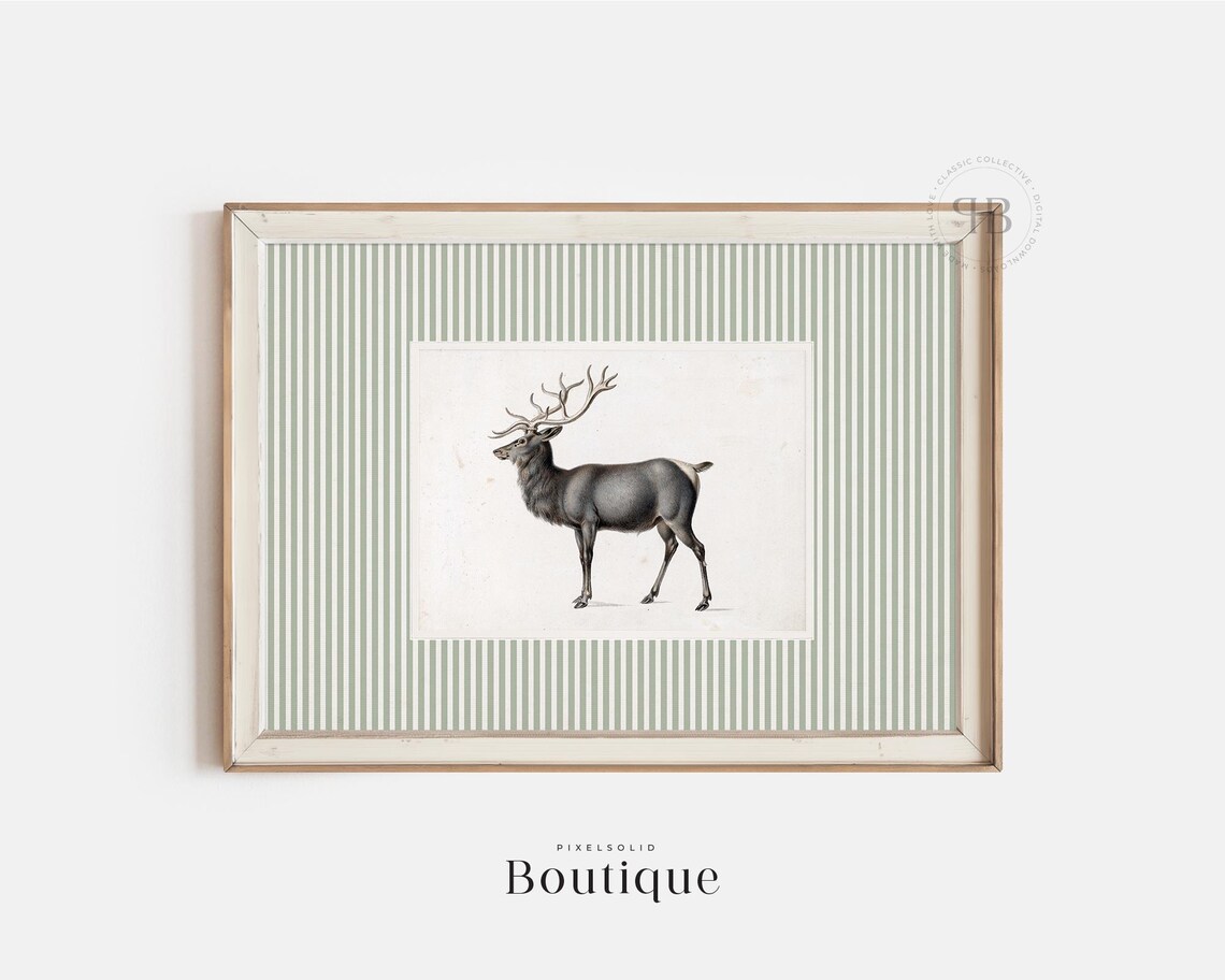 Stag Wall Art Print Antique Deer Illustration Natural History Animal Decor Rustic Lodge No808