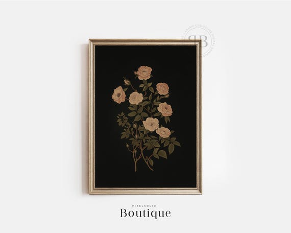 Botanical Rose Print Floral Wall Art For Bedroom Or Living Room Decor Elegant Black Background Vintage Style No600