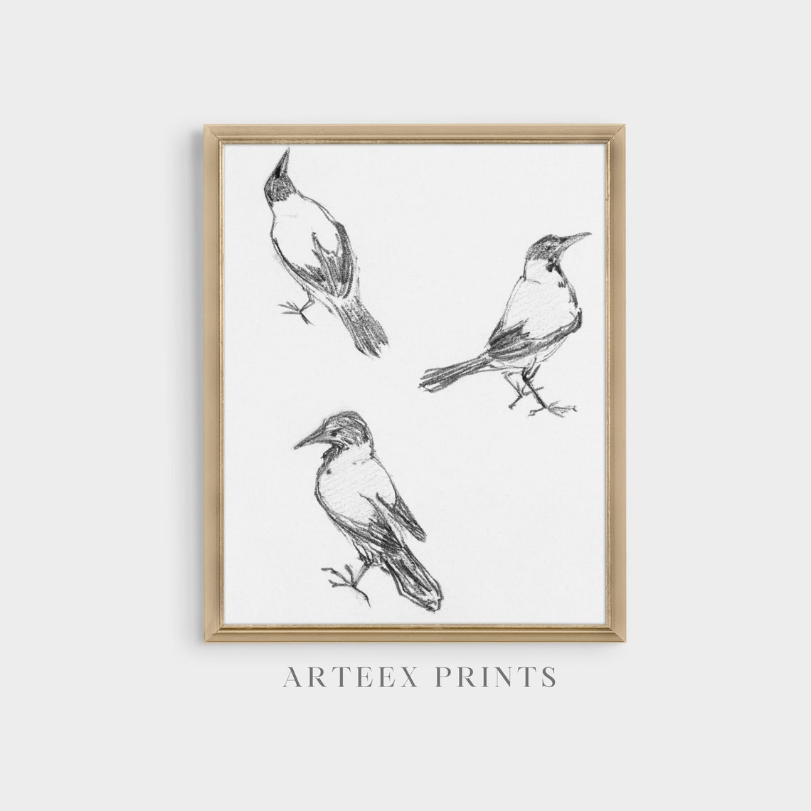 Three Bird Studies in Black Charcoal on White Paper Sketch Poster - Image 4