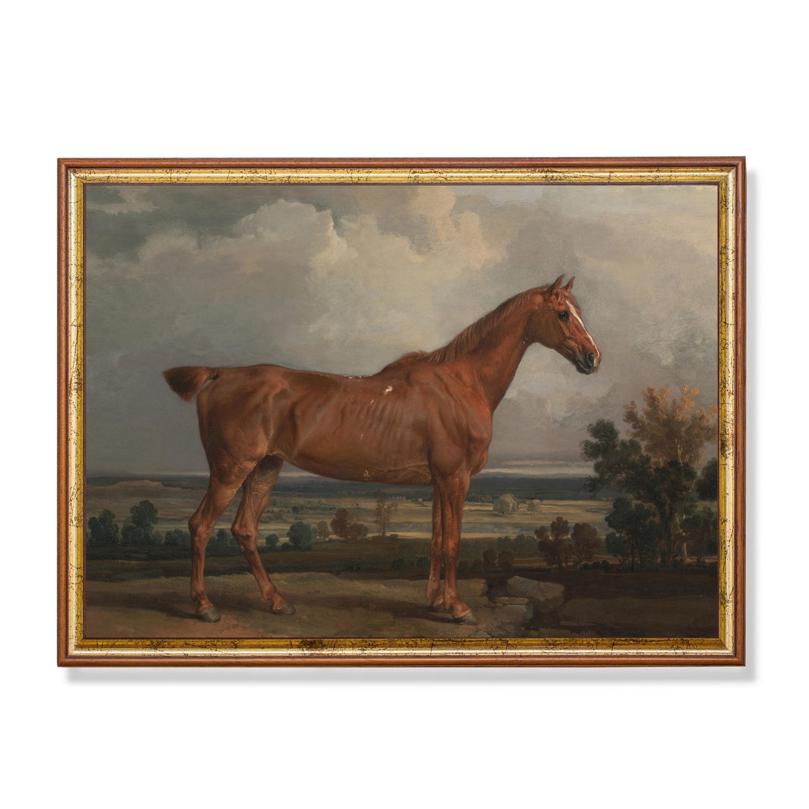 Antique Chestnut Horse Overlooking a Wide Valley Vintage Poster