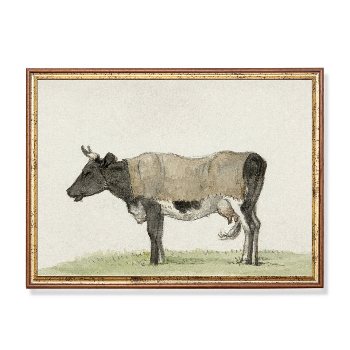 Standing Cow in Profile Antique Farm Animal Watercolor Poster