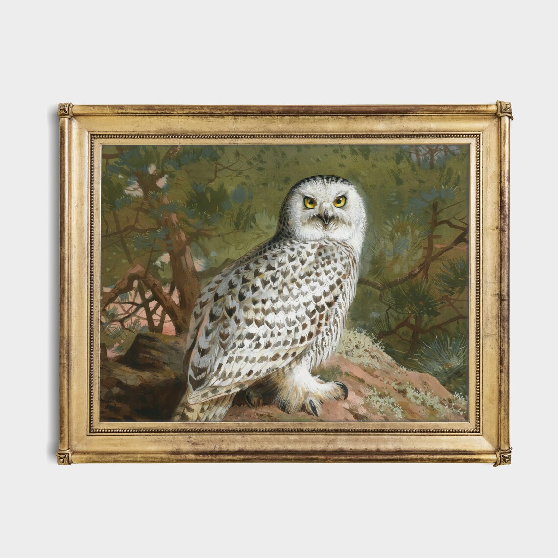 Vintage Owl Antique Bird Art Print, Rustic Farmhouse - Image 2