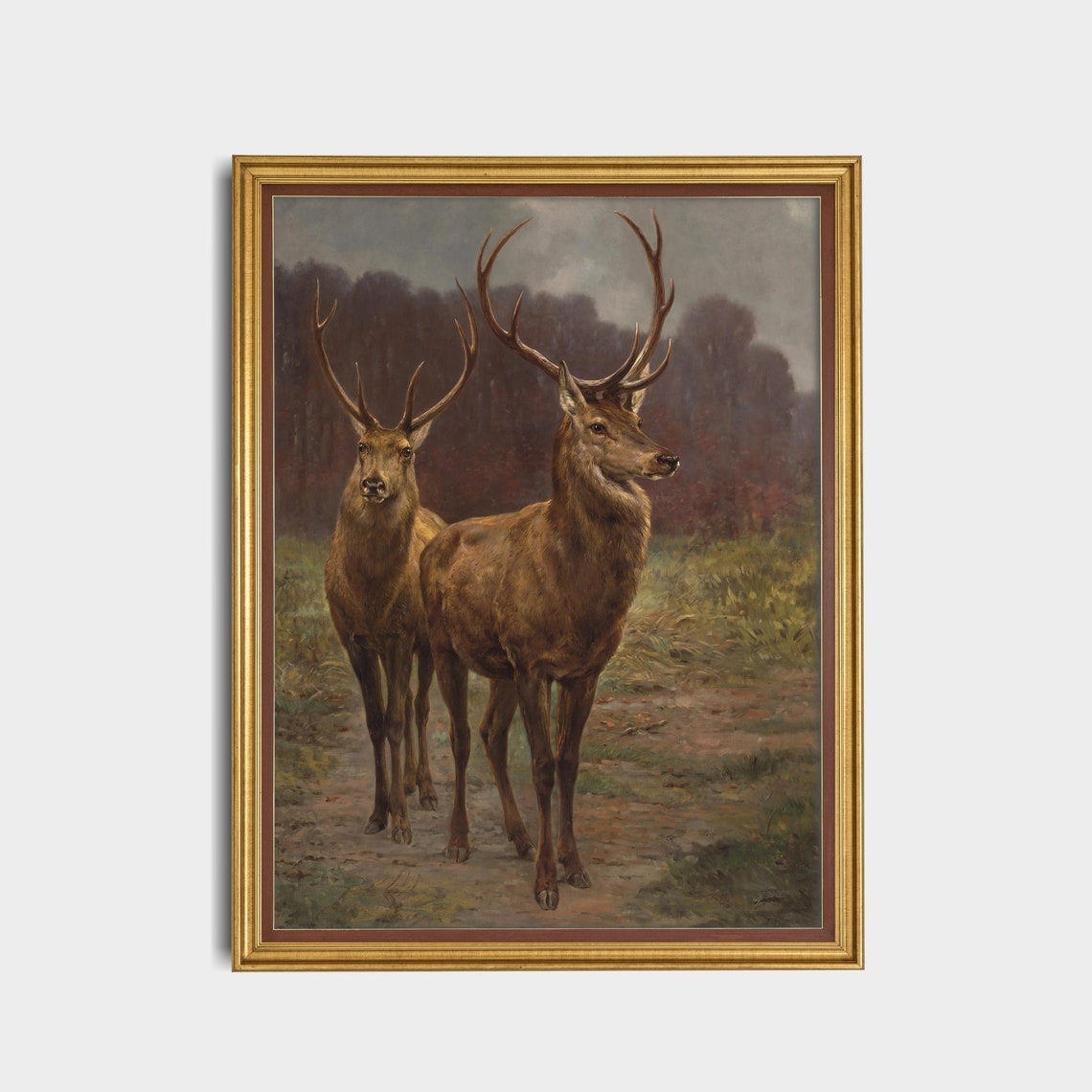 Two Majestic Red Deer Stags Standing on a Forest Path Poster - Image 3