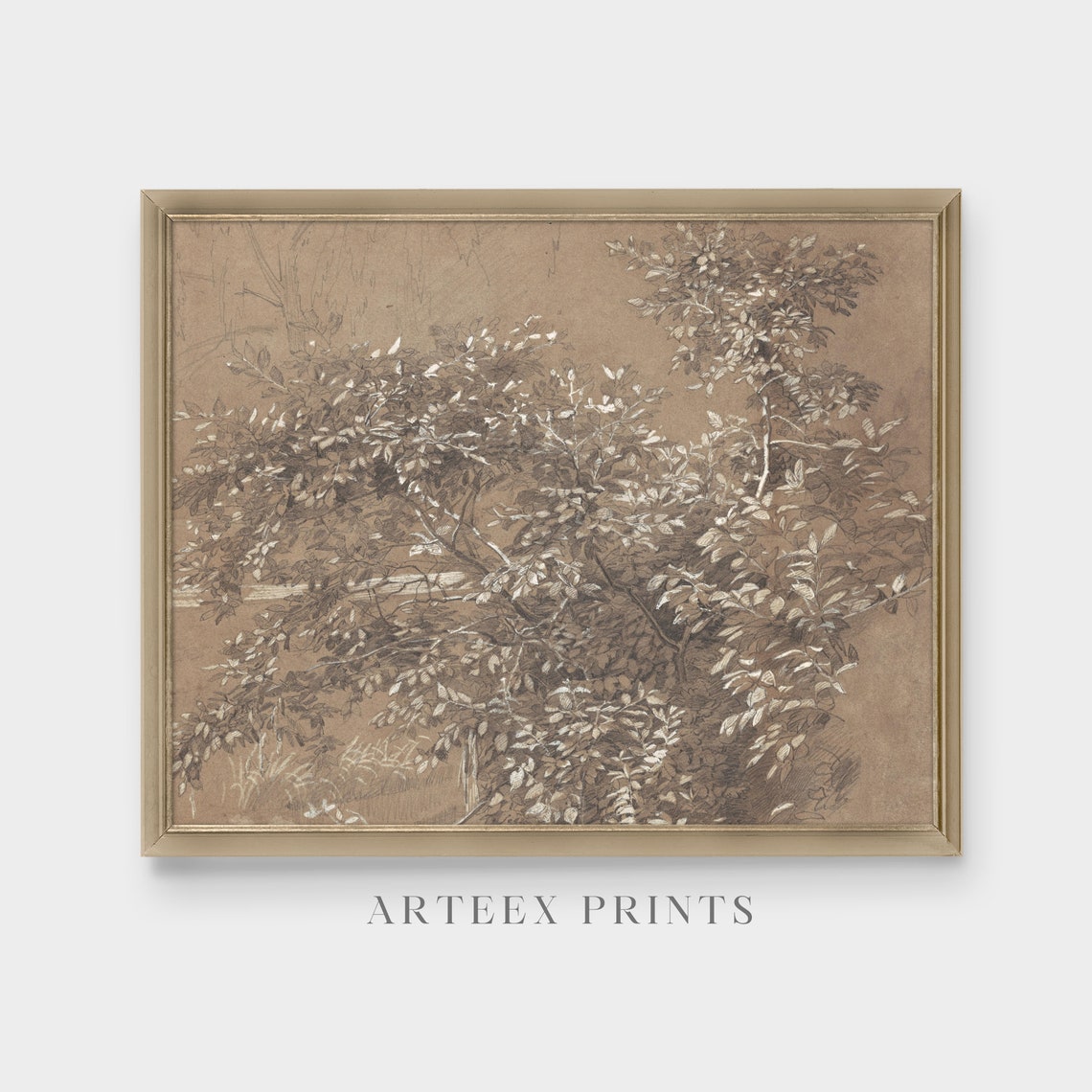 Leafy Tree Sepia Ink Sketch Botanical Study Vintage Drawing Poster - Image 4