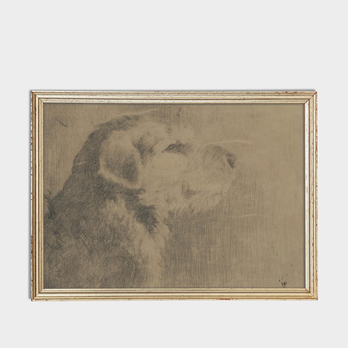 Charcoal Shaggy Dog Head Portrait Sketch Rustic Animal Art Poster - Image 3