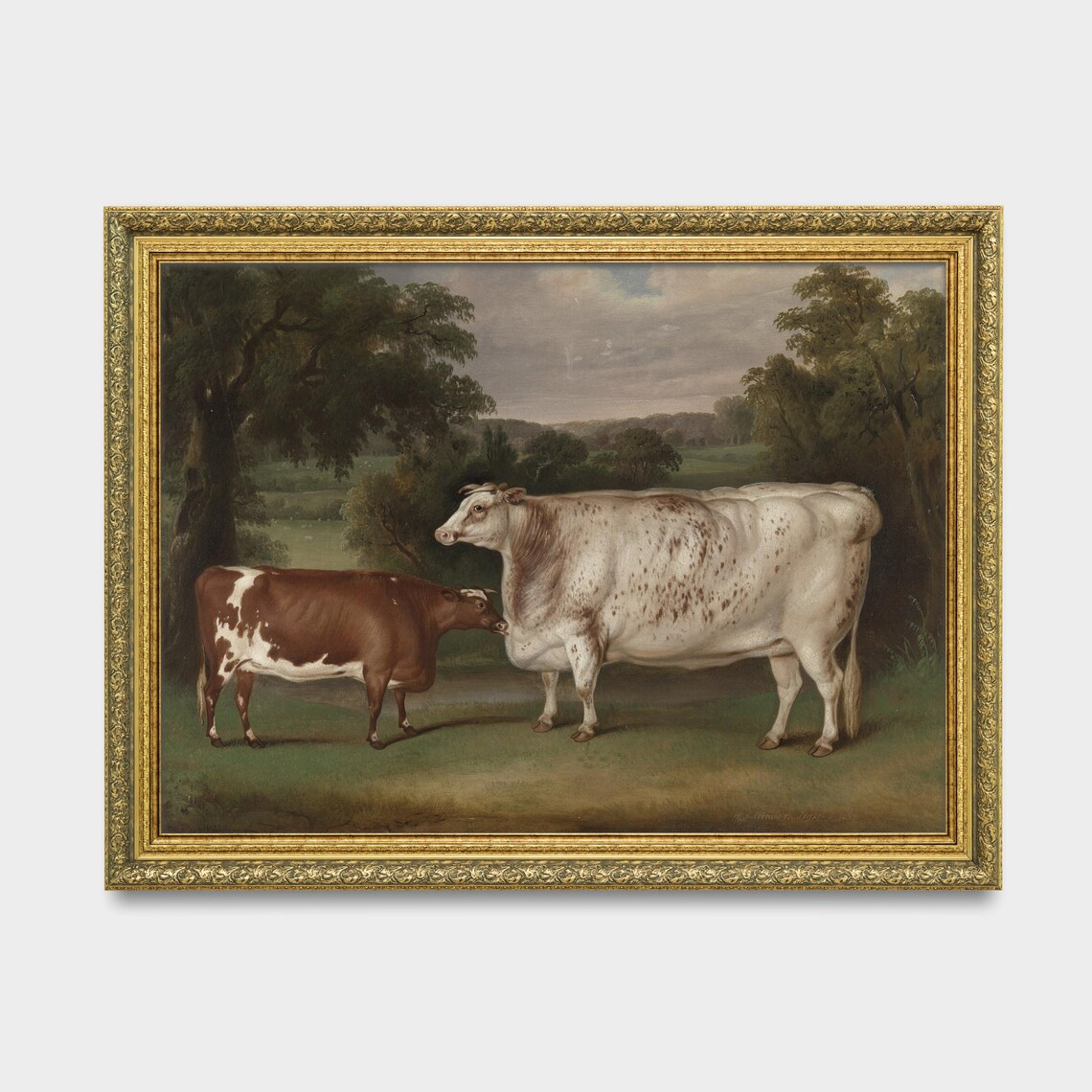 Vintage Cattle Painting, Farmhouse Rustic Art Print - Image 3