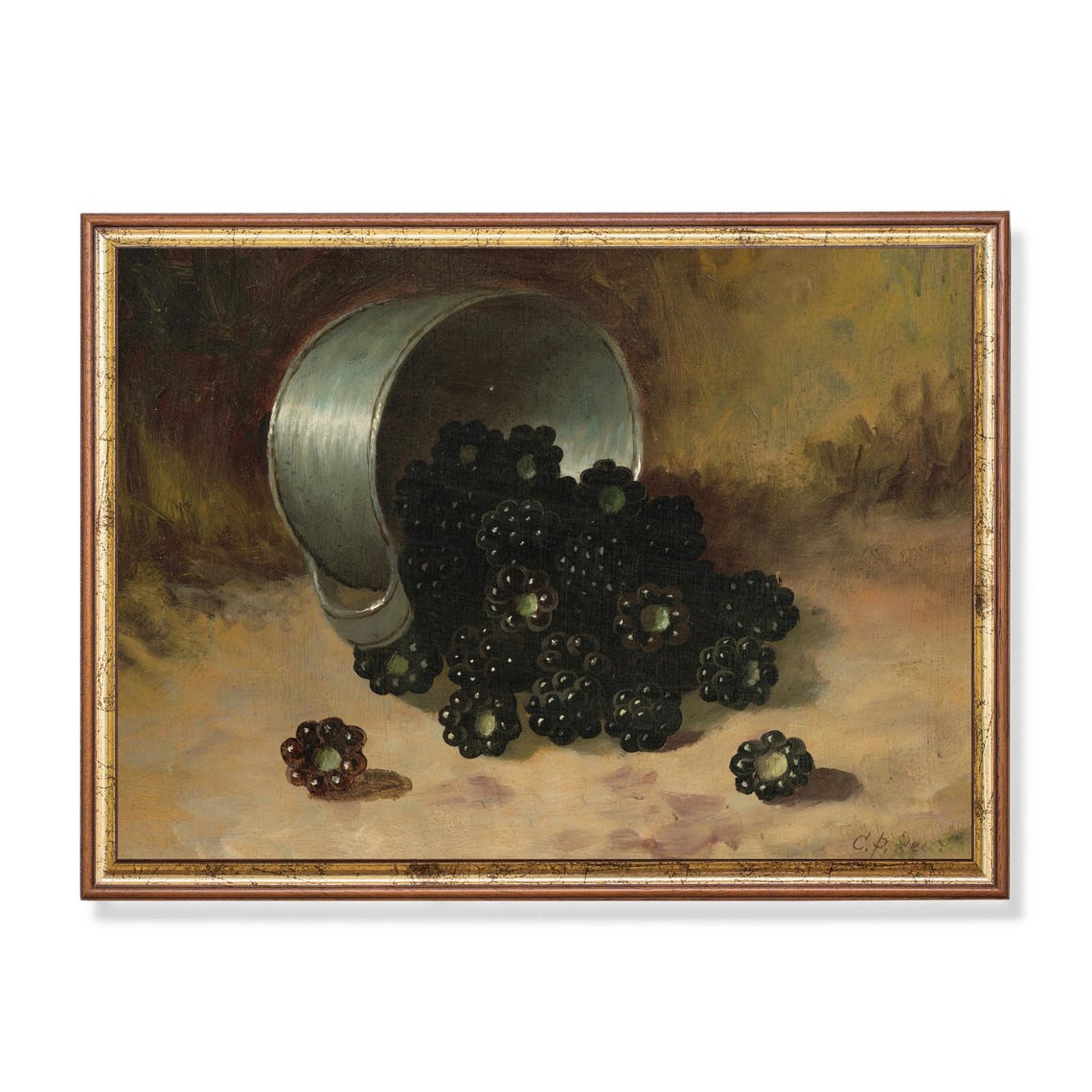 Blackberries Spilling from a Tipped Pail Rustic Still Life Poster