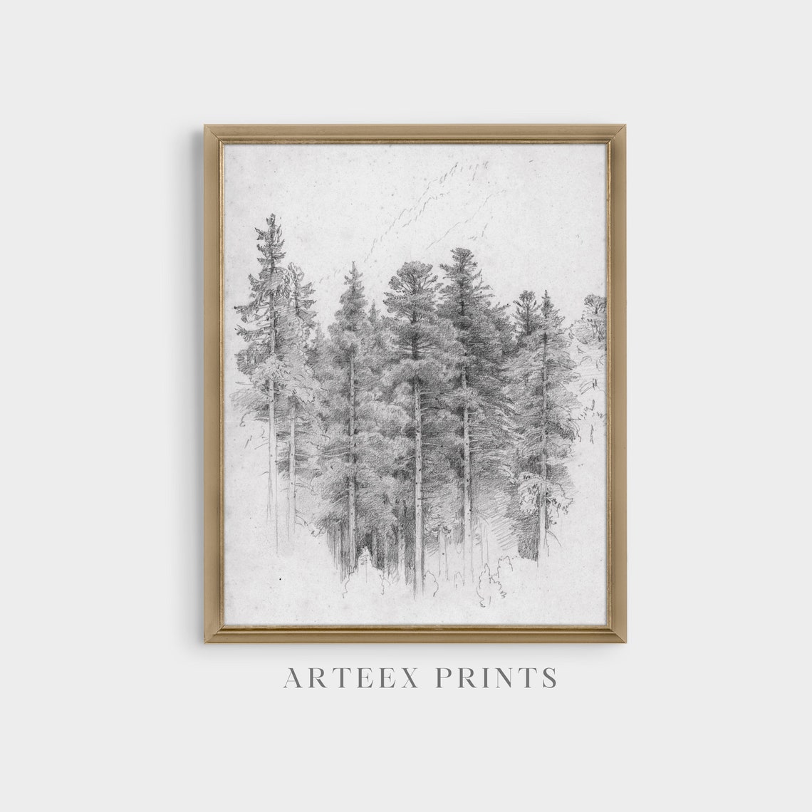 Study Of A Trees Sketch Drawing Vintage Wall Art Vertical Art Neutral Popular Prints Antique Drawing - Image 4