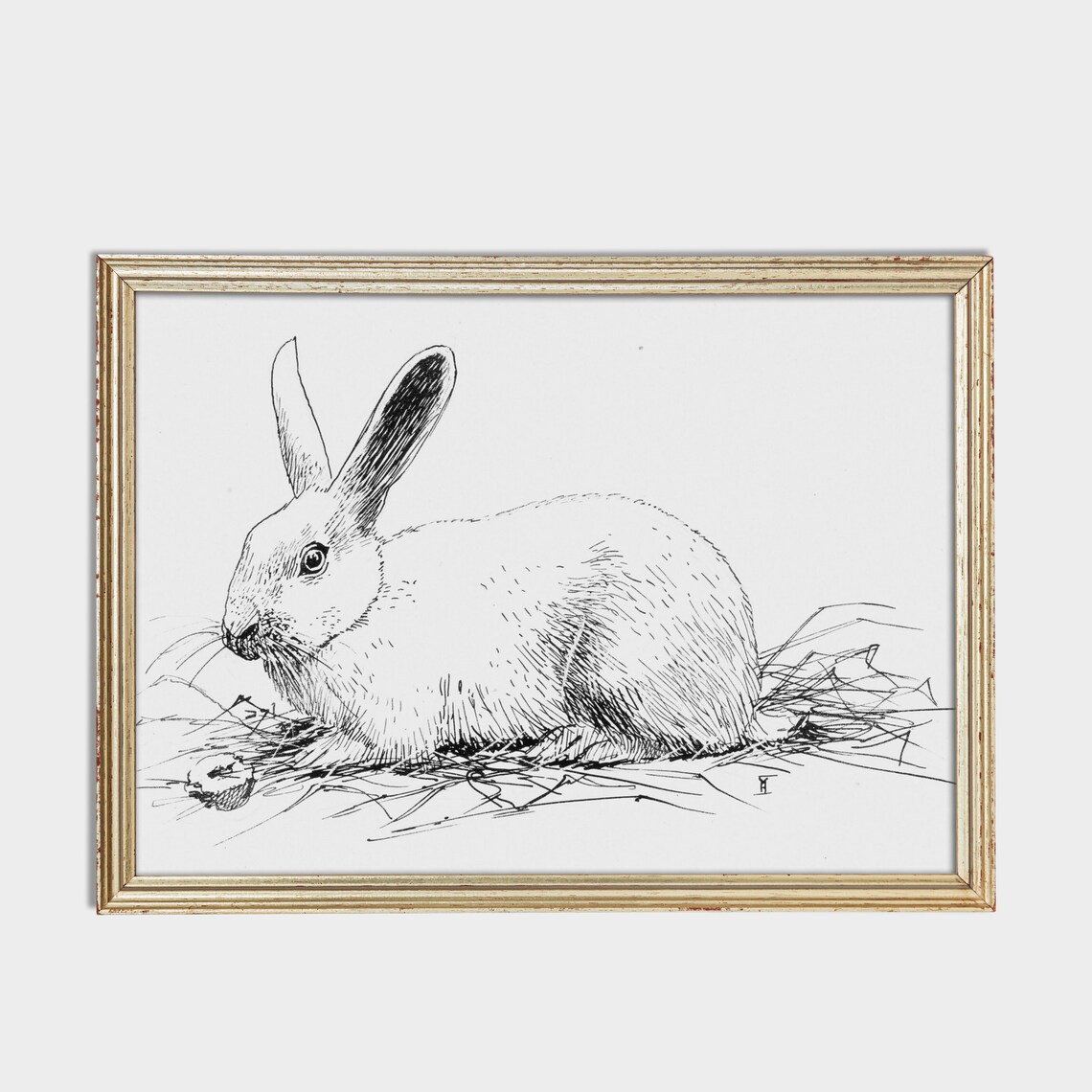 Resting Rabbit in Hay Black and White Pen and Ink Sketch Poster - Image 2