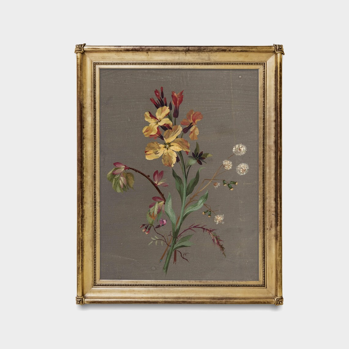 Antique Wallflower Botanical Sketch on Grey Paper Floral Poster - Image 4