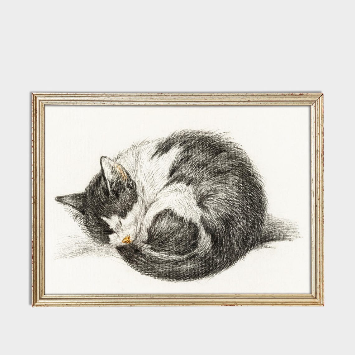 Sleeping Tabby Cat Curled in a Ball Vintage Graphite Sketch Poster - Image 3