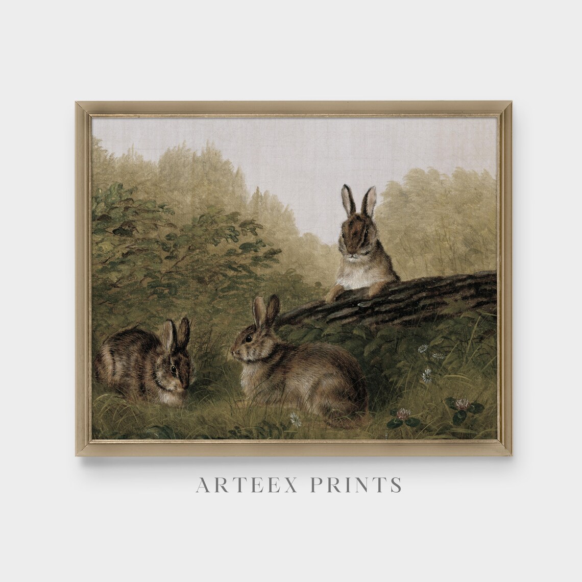 Three Rabbits In Woodland Meadow Antique Animal Painting Poster - Image 5