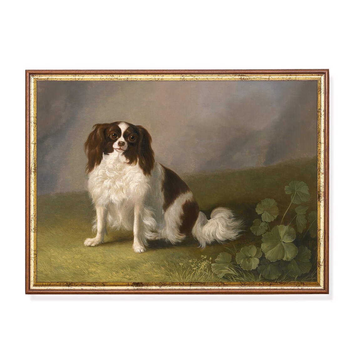 Cavalier King Charles Spaniel Seated Vintage Dog Portrait Poster