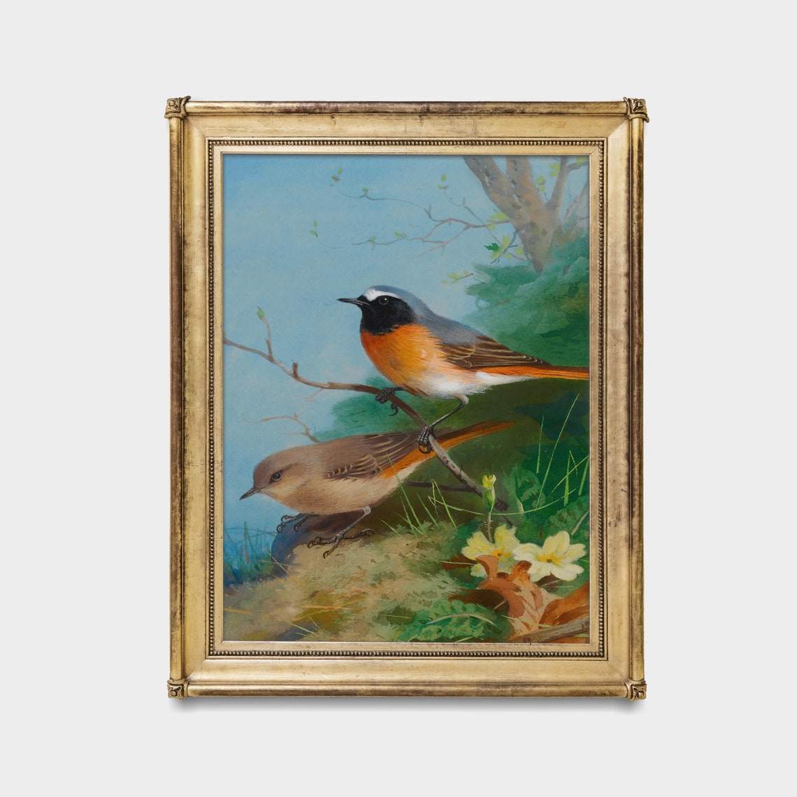 Songbird Pair Perched on a Branch Vintage Bird Illustration Poster - Image 3